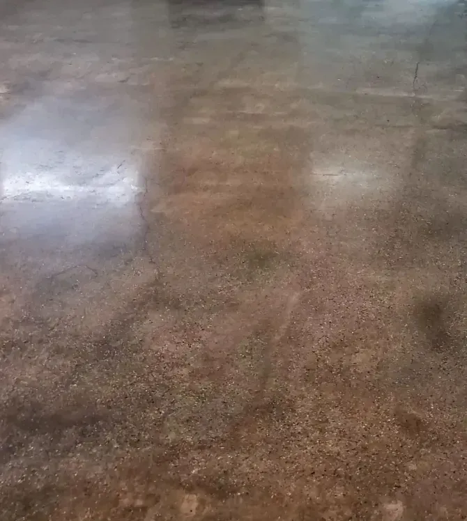 A close-up view of a smooth, polished concrete floor with a mottled, brownish-gray texture and reflective surface.