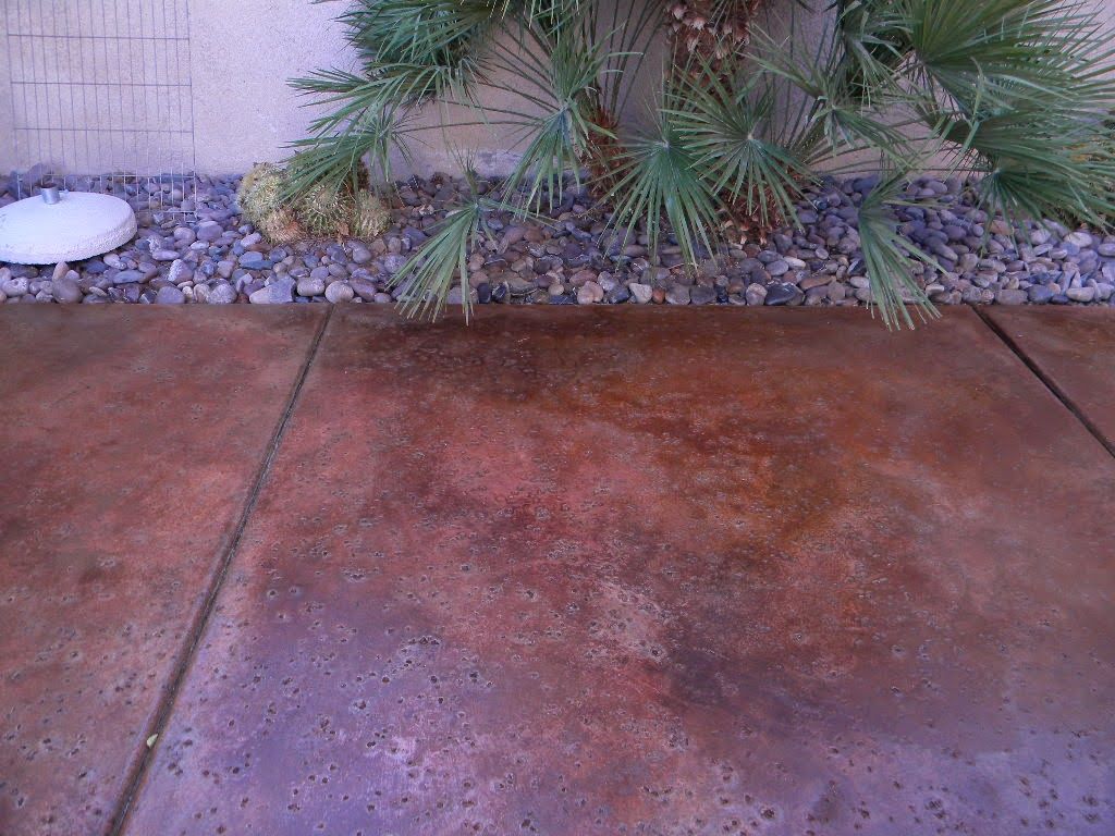 A concrete walkway with a palm tree and rocks in the background.