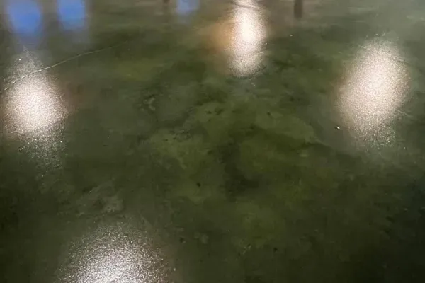 Green and black stained concrete floor reflecting overhead lights in Yucca Valley CA.