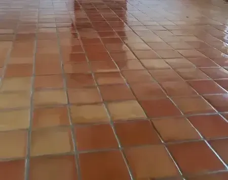 Close-up of a wet terracotta tile floor with reflections.