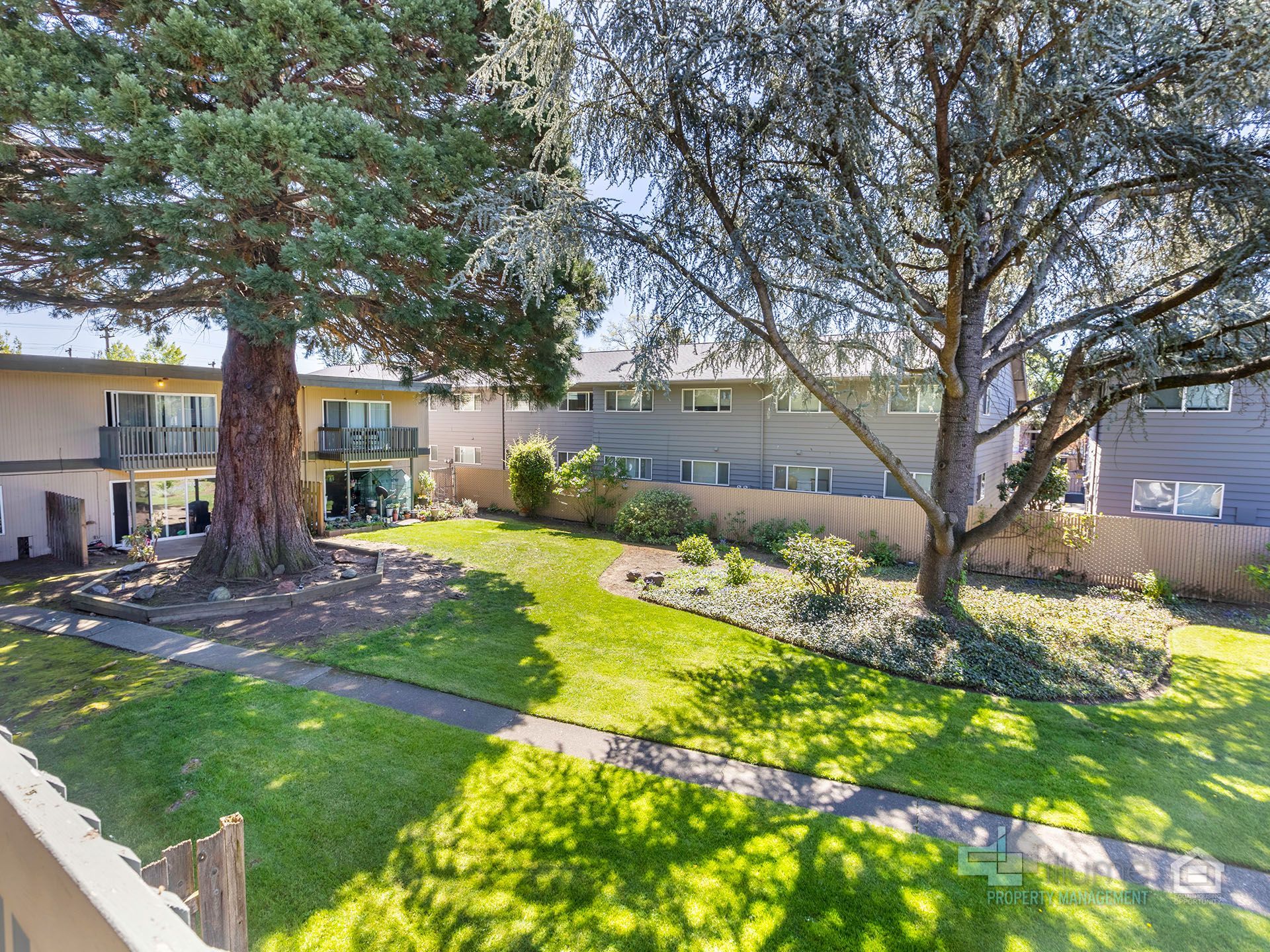 Privet Courtyard