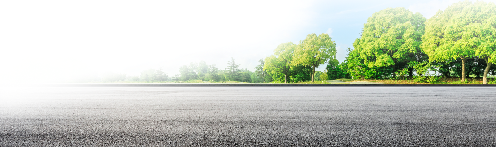 Asphalt road with trees on a sunny day. | Pro Tire & Automotive Center