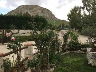 Giardino con arbusti e fiori di fronte a una montagna rocciosa sotto un cielo nuvoloso