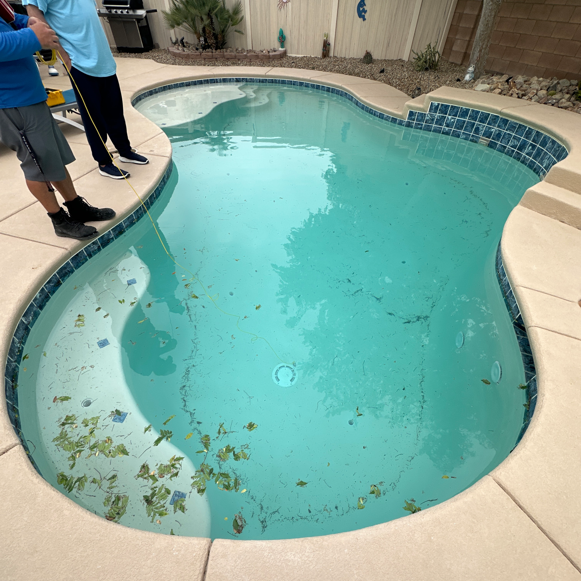 Backyard swimming pool with murky water and leaves, two people standing at the edge