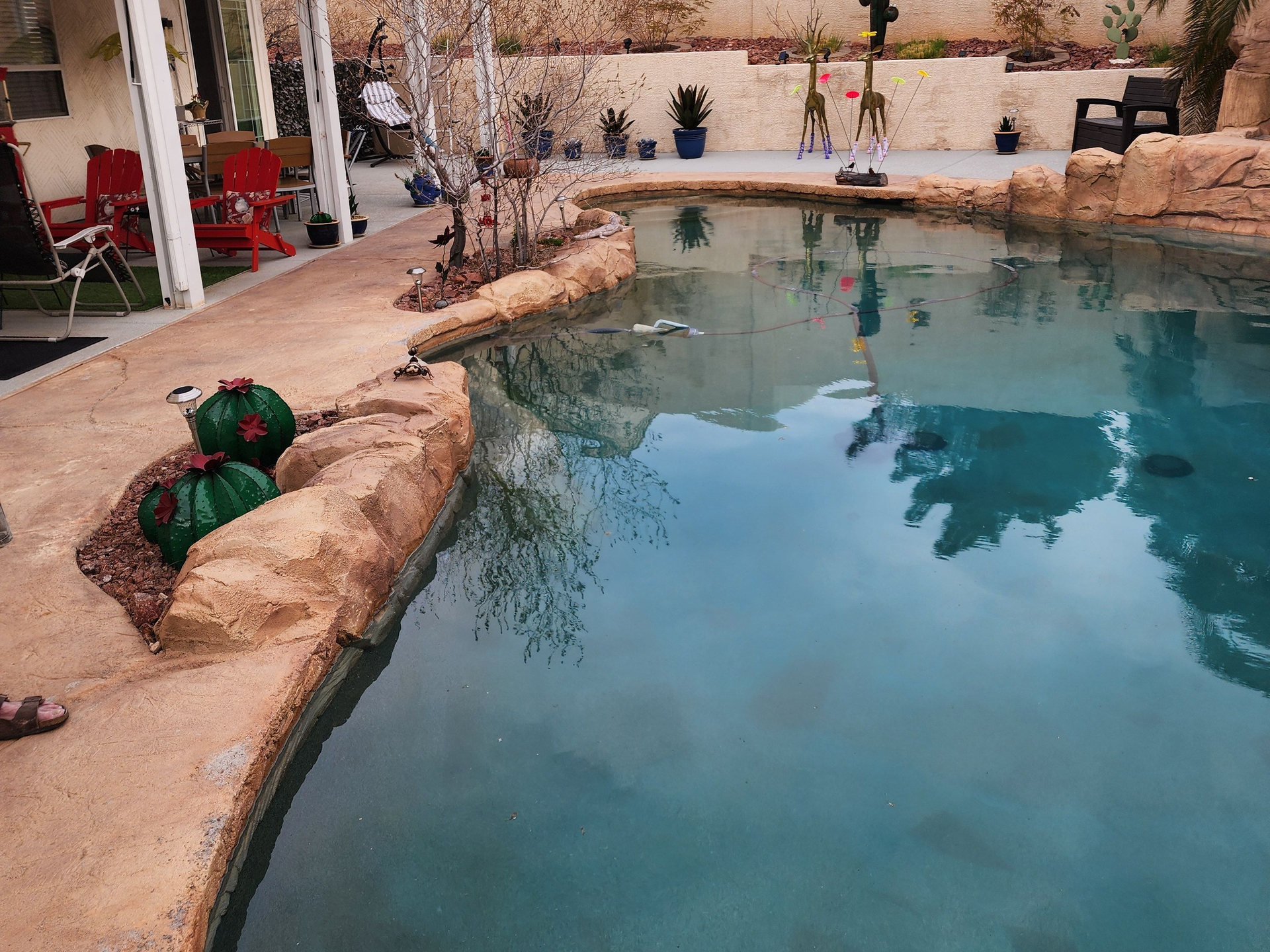 Backyard swimming pool with blue water, stone edging, and potted plants beside a patio
