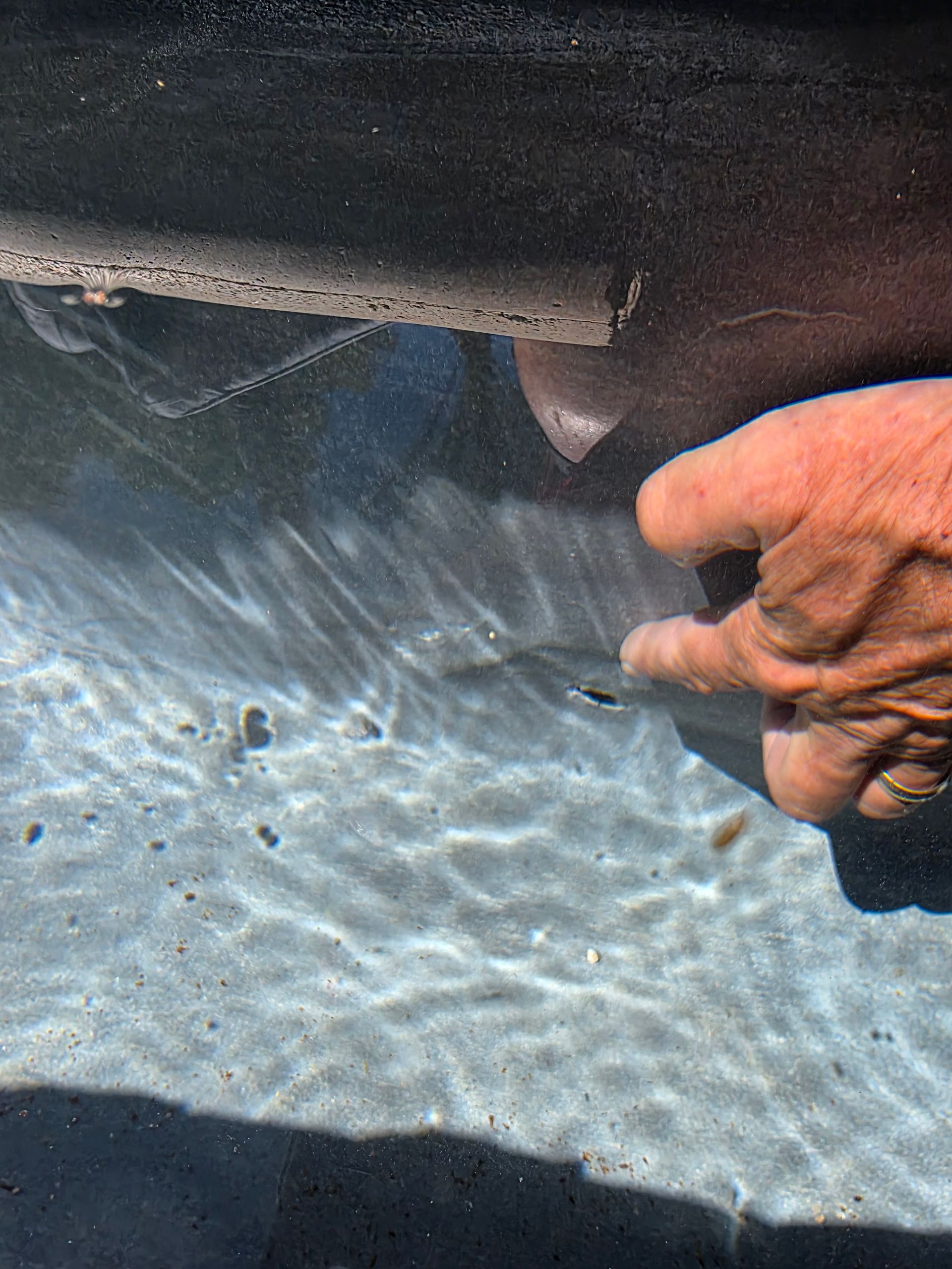 Hand holding a fish underwater near a dark boat hull, with sunlight rippling through clear water