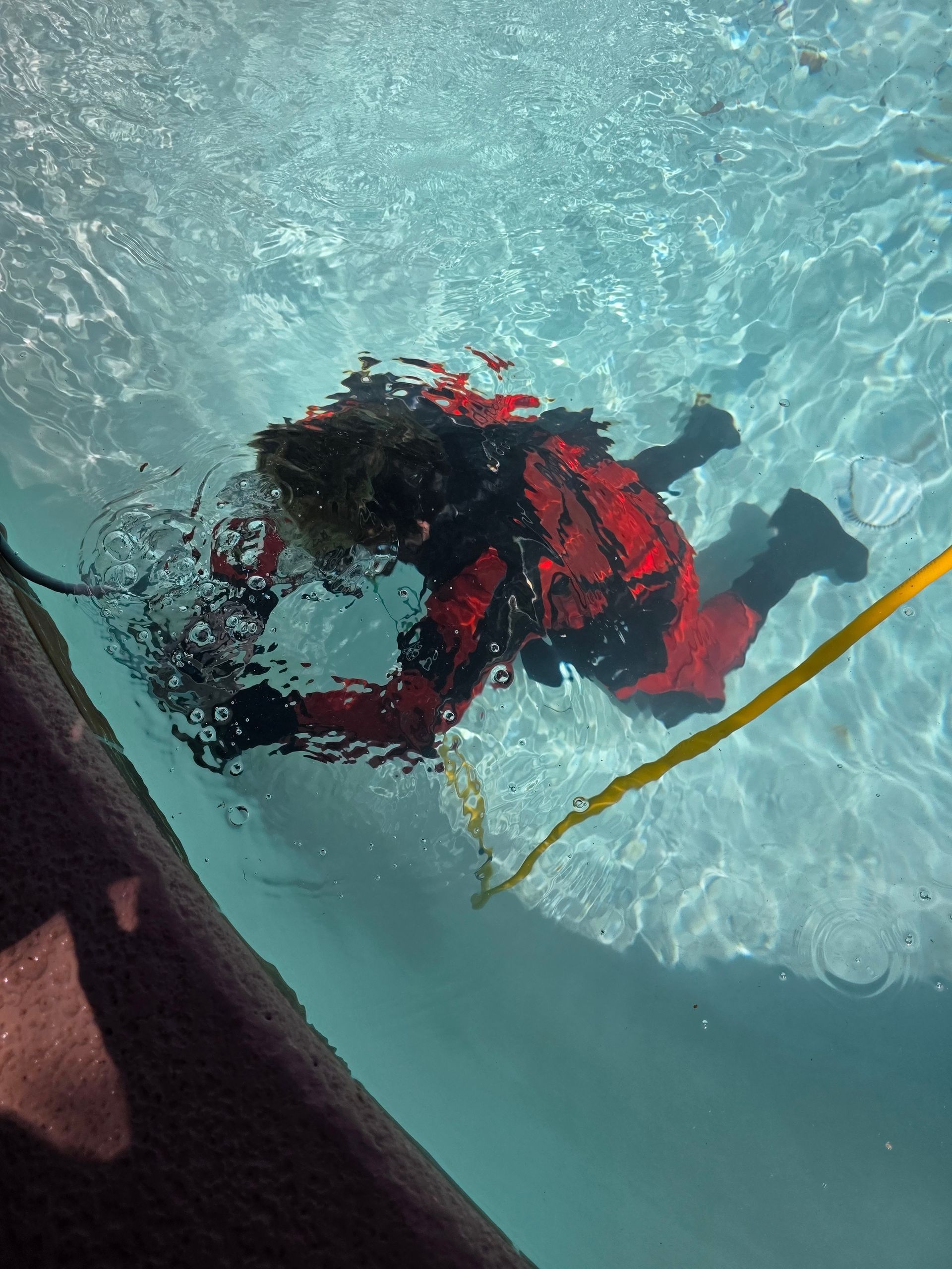 Person kneeling by a backyard pool, cleaning the water with a hose and pool vacuum