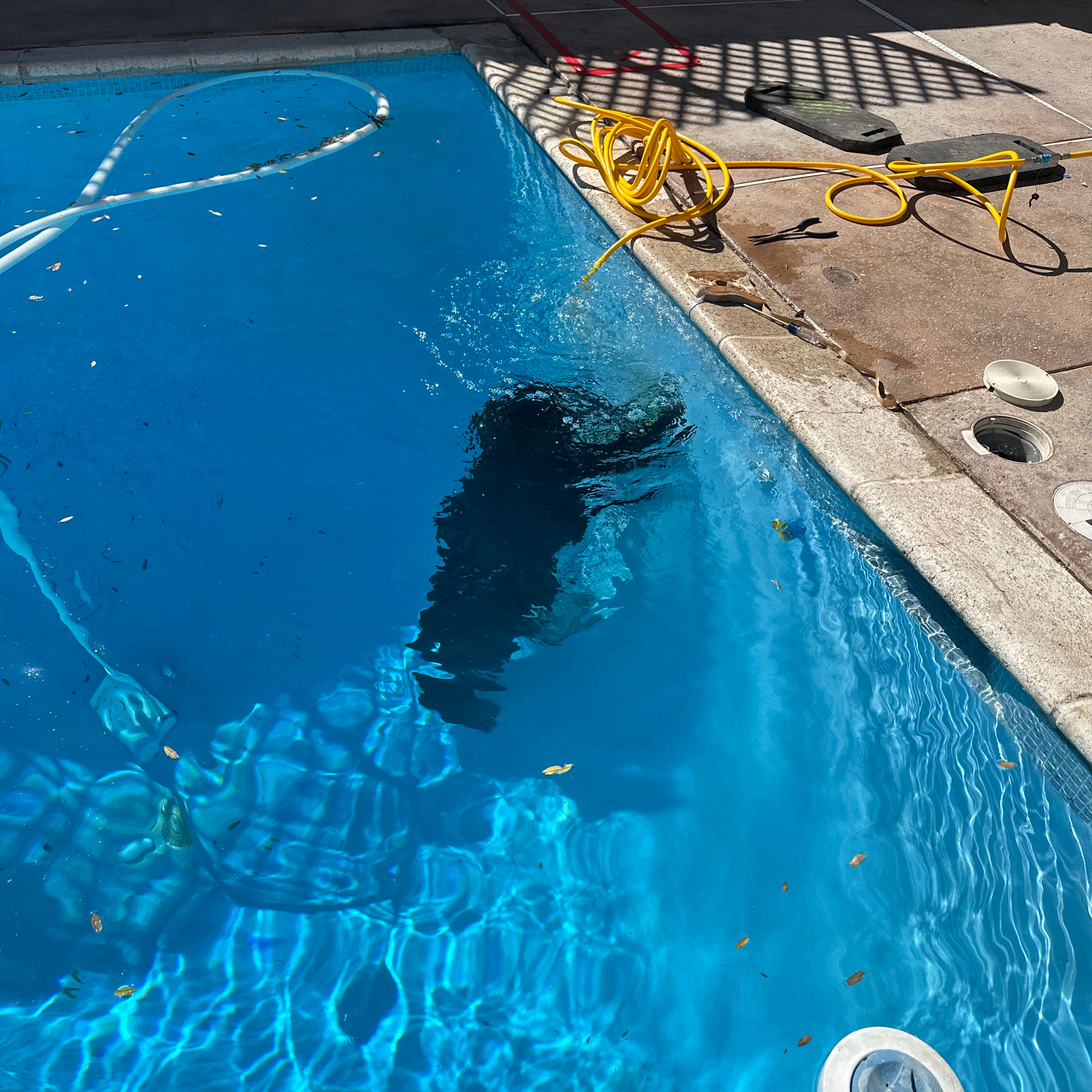 Person underwater in a bright blue swimming pool beside the deck and pool hose