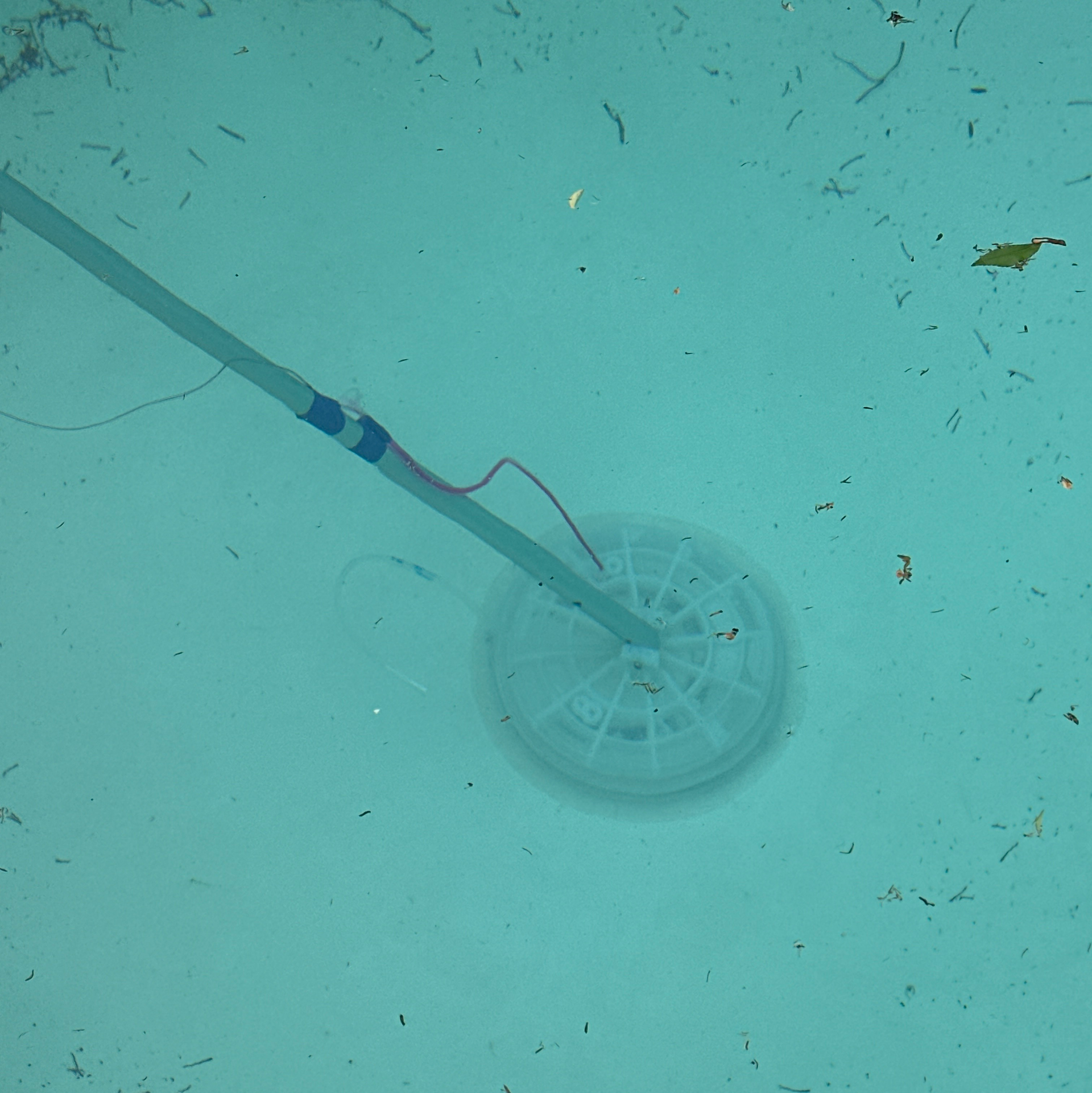 Pool-cleaning vacuum head underwater with a hose in a turquoise pool