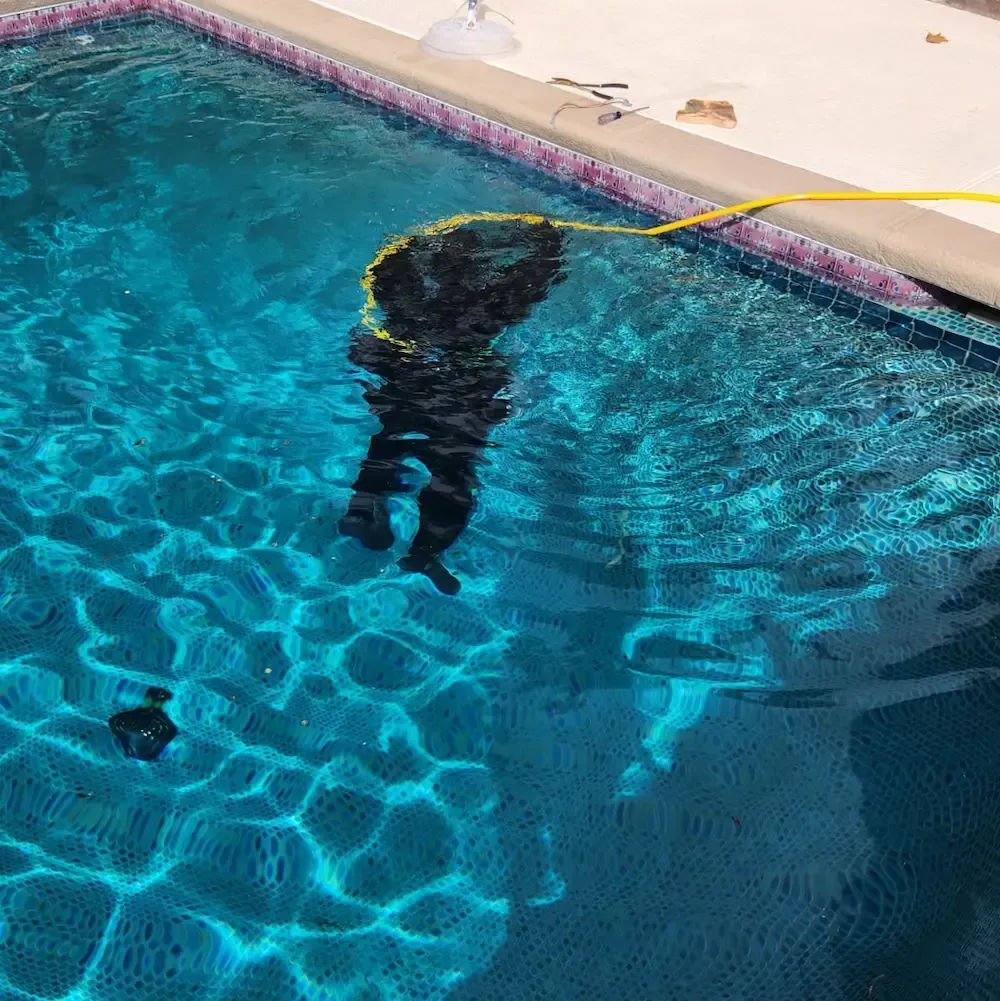 Person in a black wetsuit floats at the edge of a blue swimming pool, holding a yellow hose.
