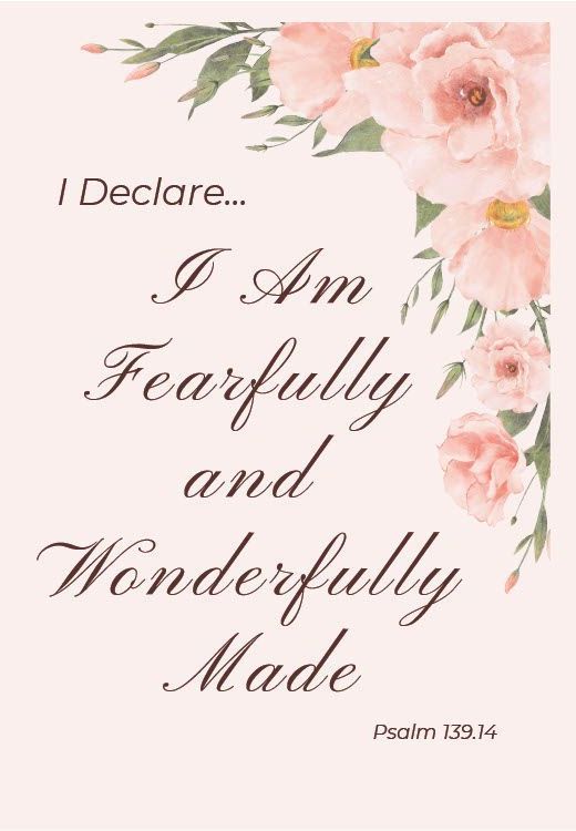 Pink Fearfully journal cover