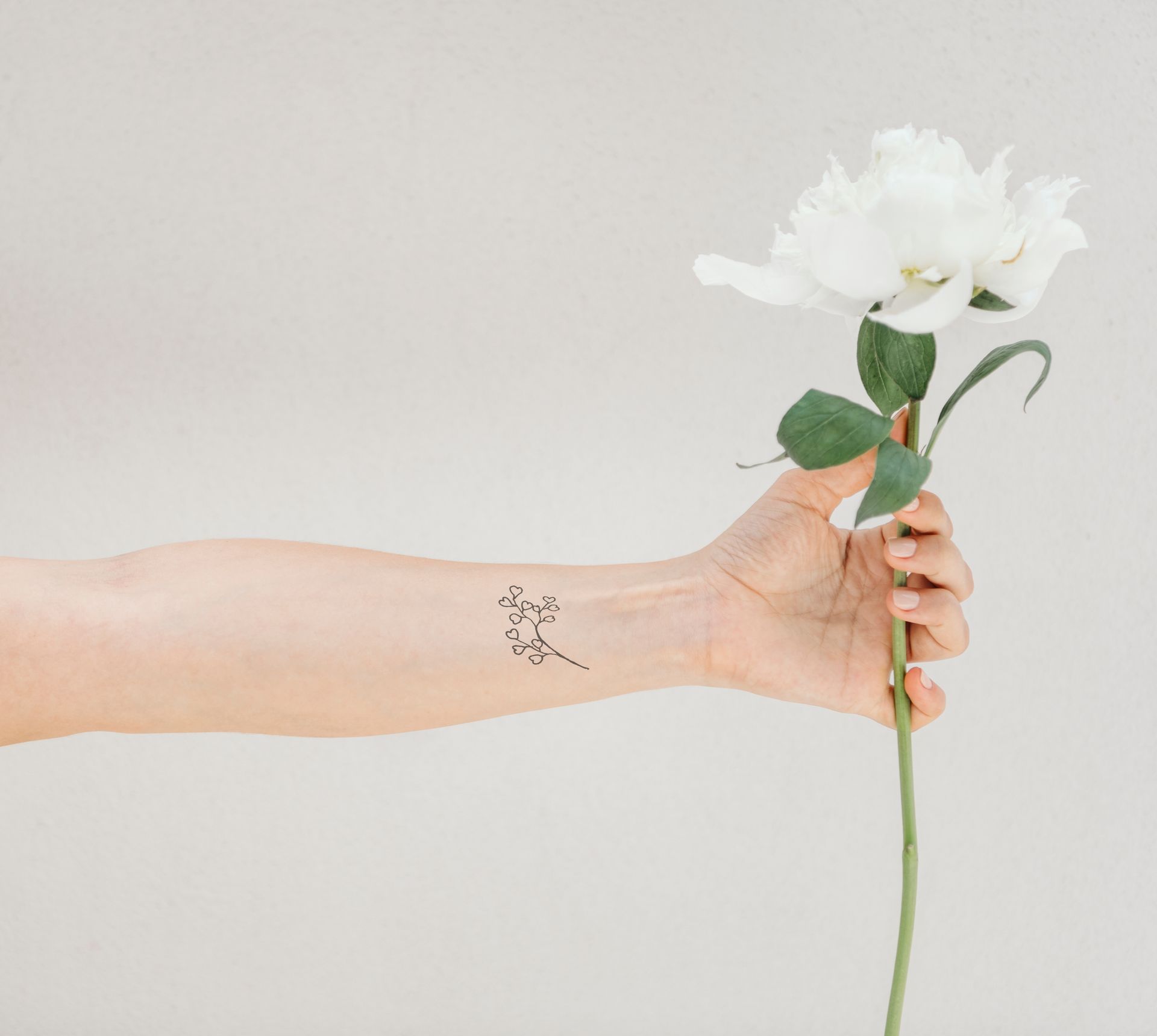 Hand holding a white flower against a plain beige wall