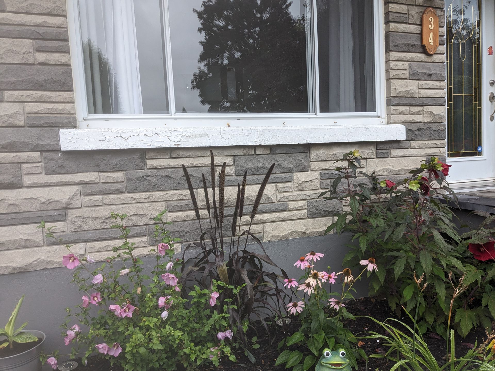 Un jardin avec des fleurs et une grenouille devant une maison