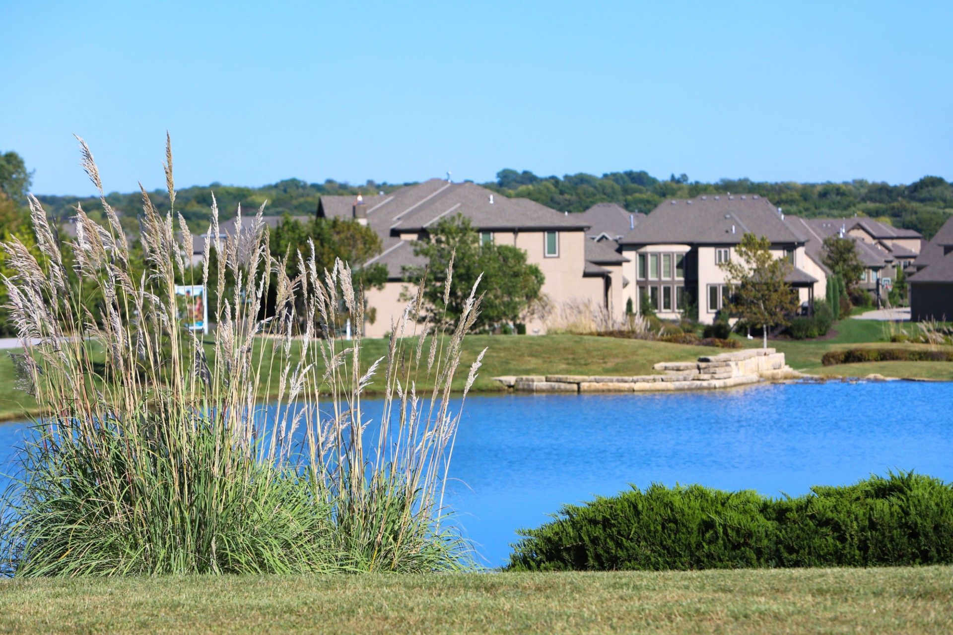A lake with houses in the background and tall grass in the foreground — Overland Park, KS — Johnson County Solutions