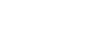 Connect - Icon