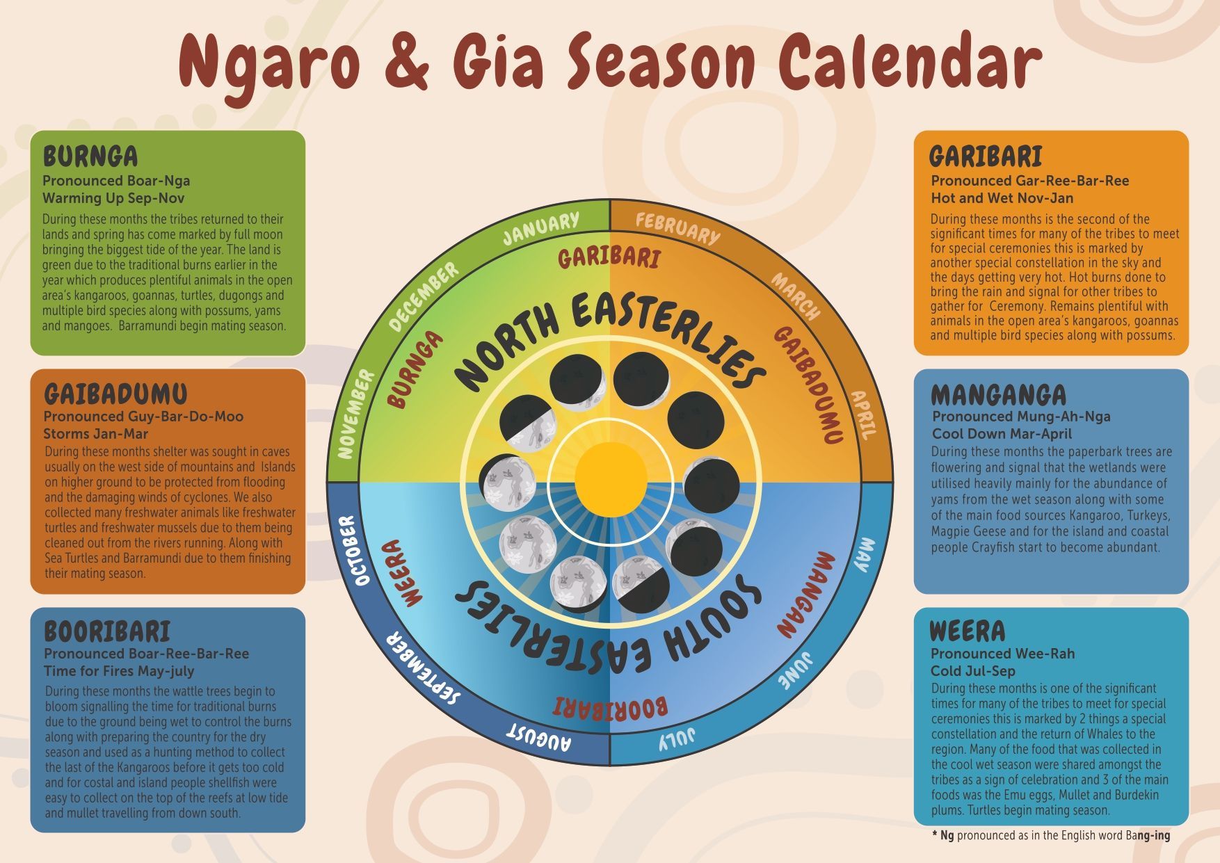 A poster showing the ngaro and gia season calendar