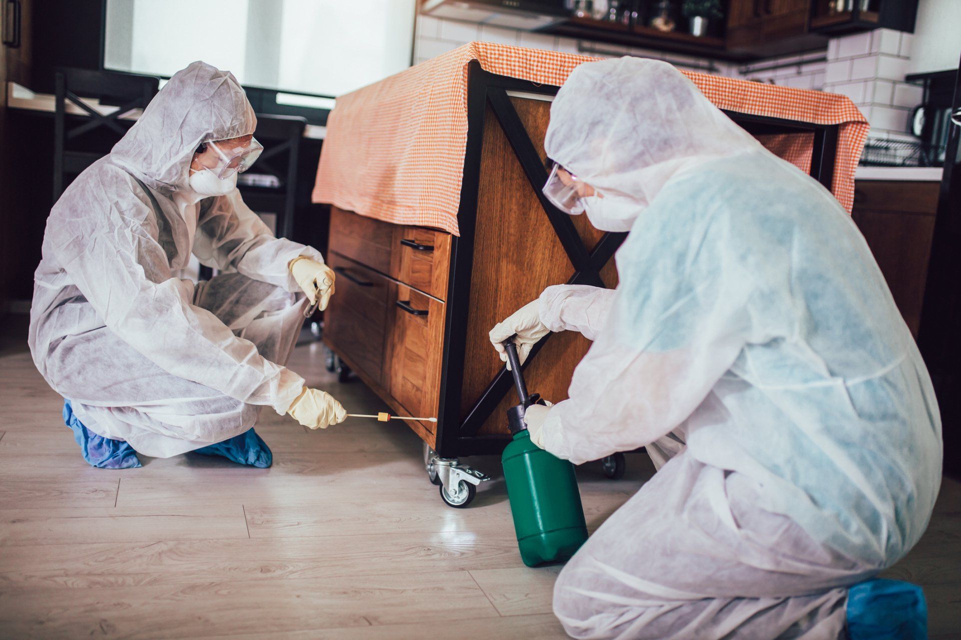 Pest Specialists Working — Forrest City, AR — Ray Houser’s Termite & Pest Control Pest Specialists Working — Forrest City, AR — Ray Houser’s Termite & Pest Control