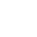 Fleas — Forrest City, AR — Ray Houser’s Termite & Pest Control Fleas — Forrest City, AR — Ray Houser’s Termite & Pest Control