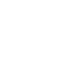 Spiders — Forrest City, AR — Ray Houser’s Termite & Pest Control Spiders — Forrest City, AR — Ray Houser’s Termite & Pest Control