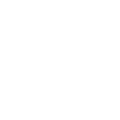 Wasps — Forrest City, AR — Ray Houser’s Termite & Pest Control Wasps — Forrest City, AR — Ray Houser’s Termite & Pest Control