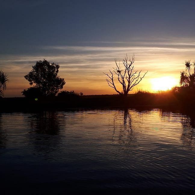 The sun is setting over a body of water with trees in the foreground.