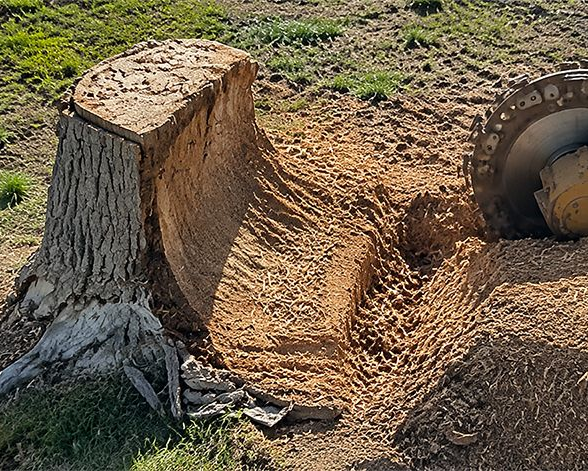 Tree stump with a large excavated trench beside a rusted machine wheel in a dirt field