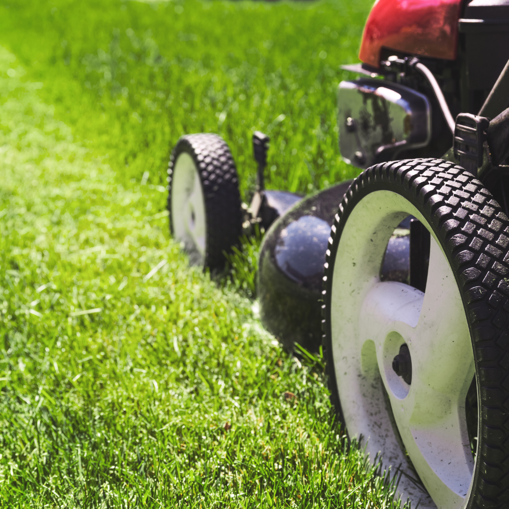 A lawn mower is cutting a lush green lawn