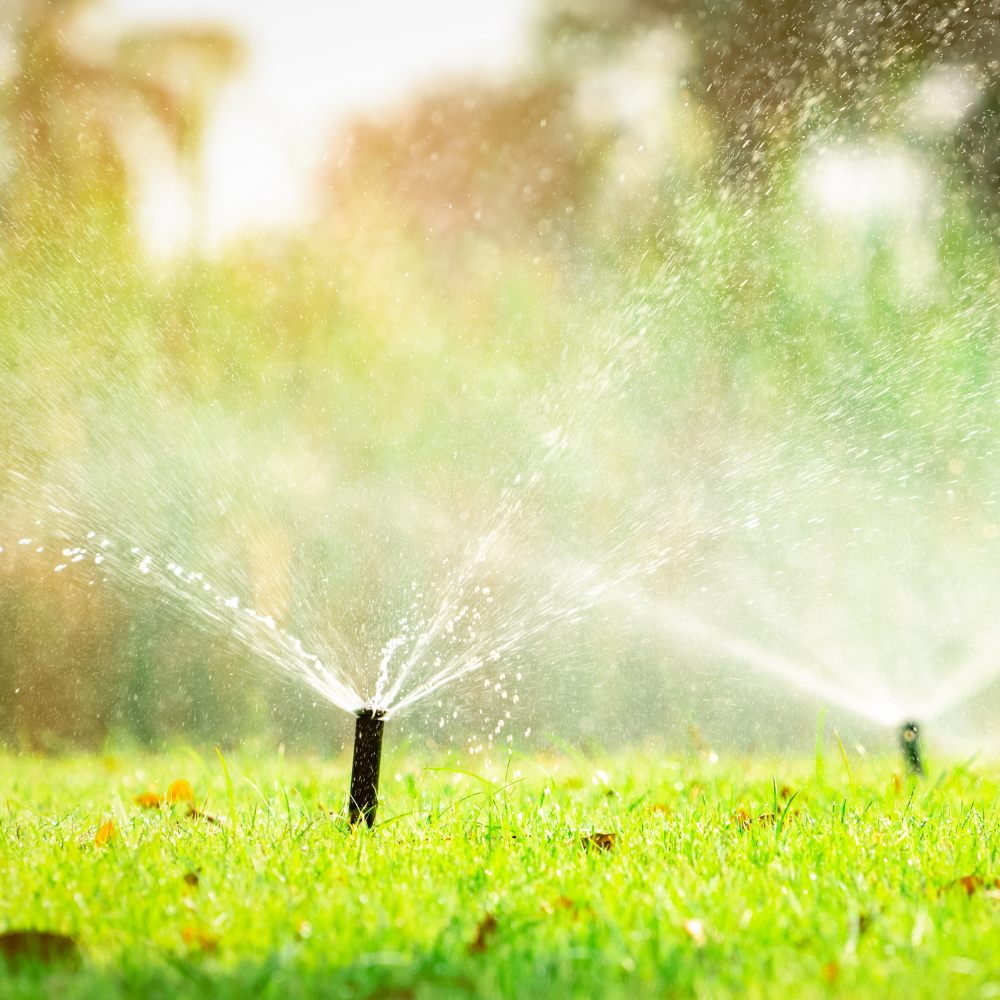 A sprinkler is spraying water on a lush green field.