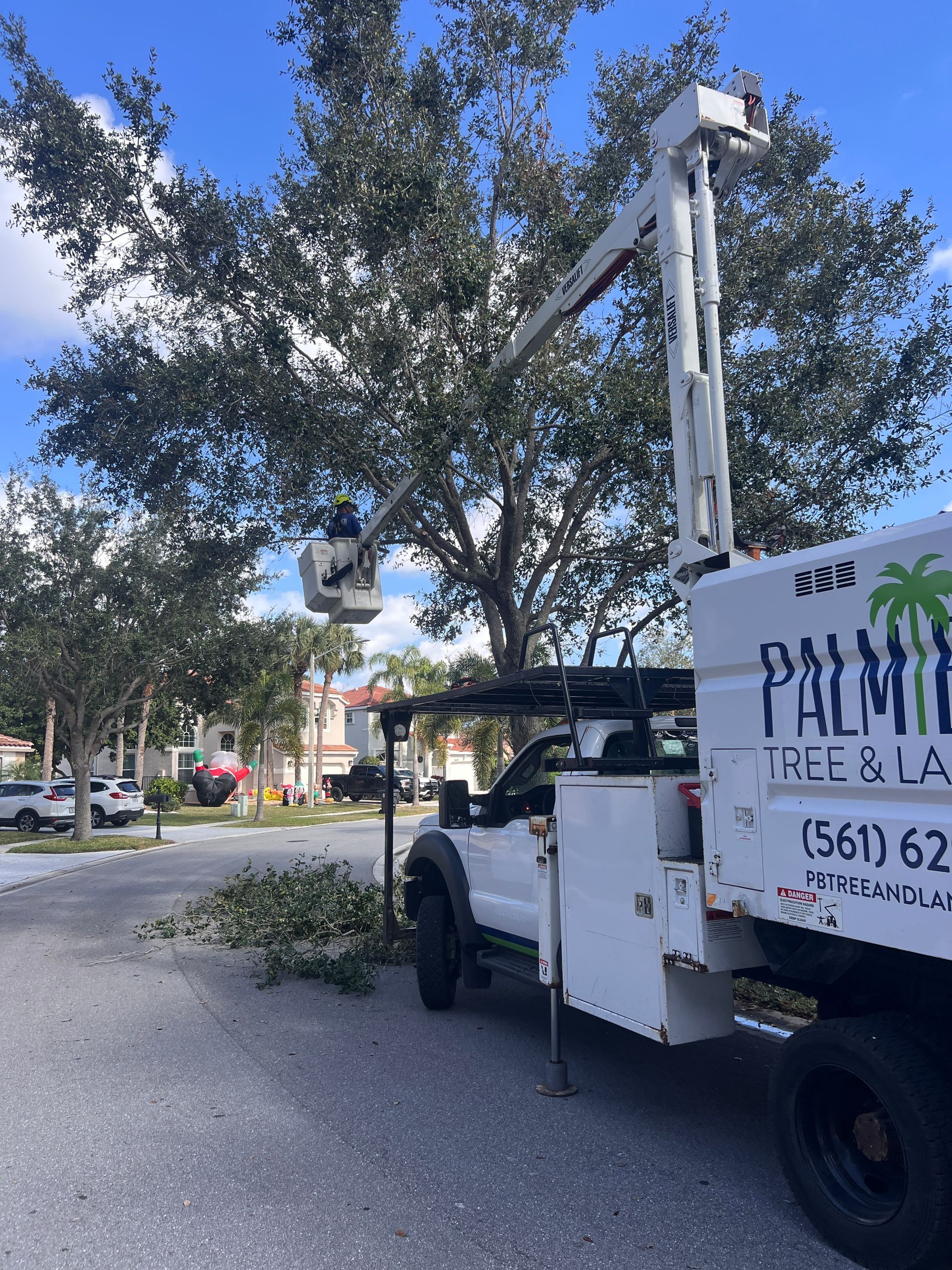 White utility truck trimming a fallen tree branch on a residential street near parked cars.