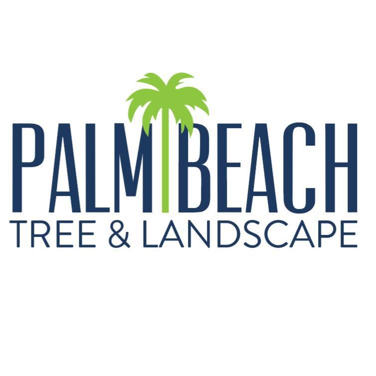 Palm Beach Tree & Landscape logo with navy text and a green palm tree icon