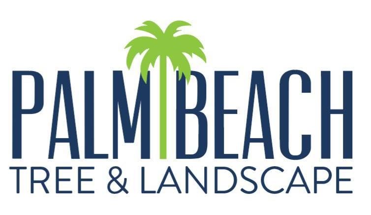 Palm Beach Tree & Landscape logo with blue text and a green palm tree icon