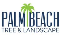 Palm Beach Tree & Landscape logo with blue text and a green palm tree icon