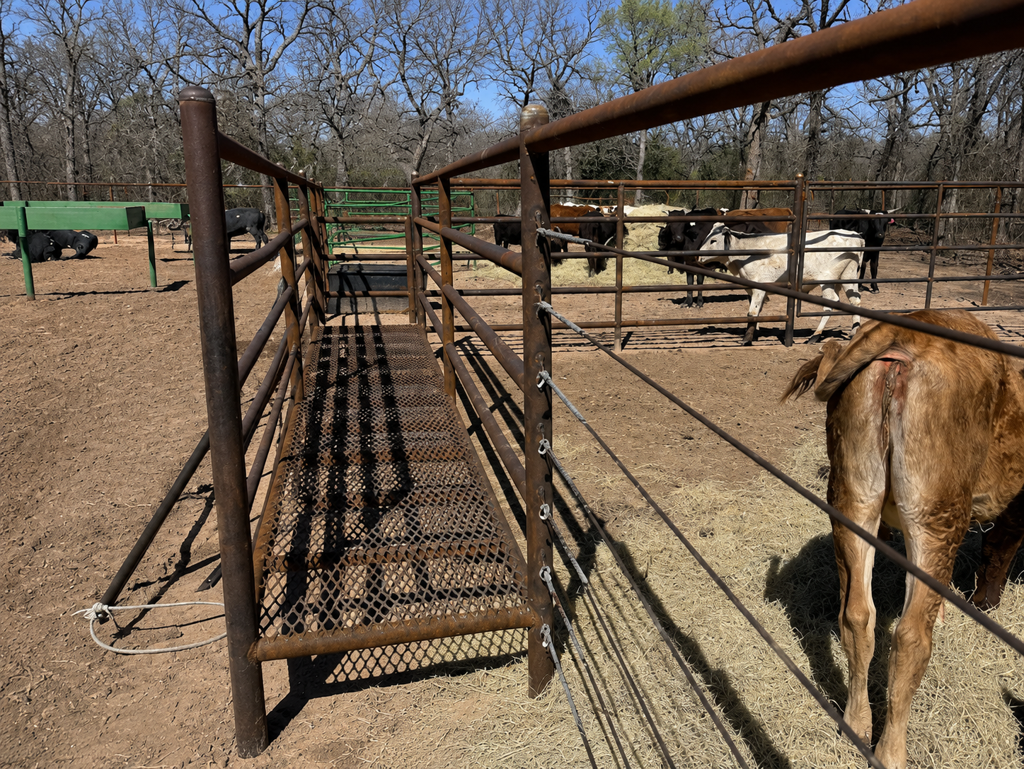 ranch construction company in Mineral Wells, TX,