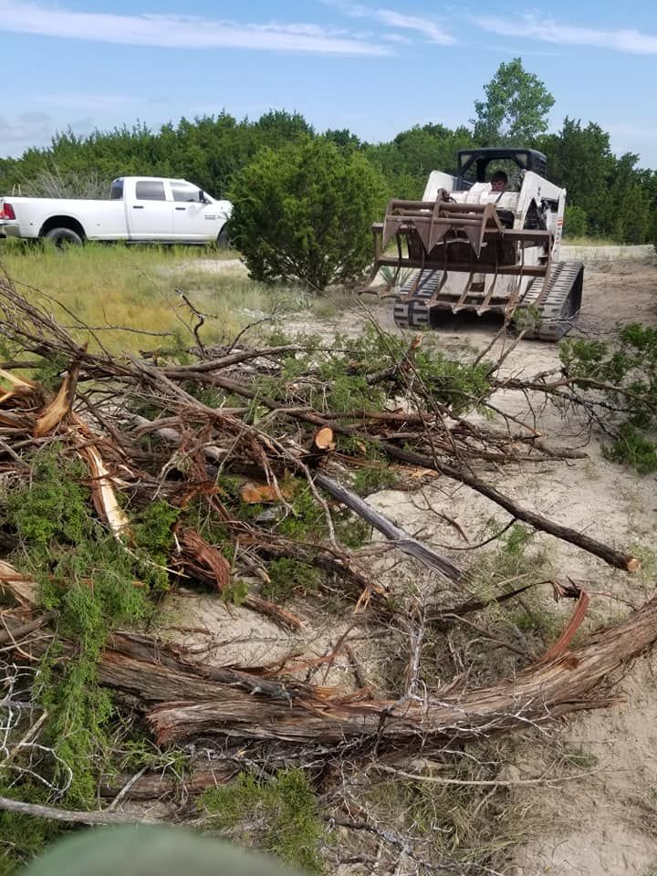 A white truck is parked next to a pile of branches.