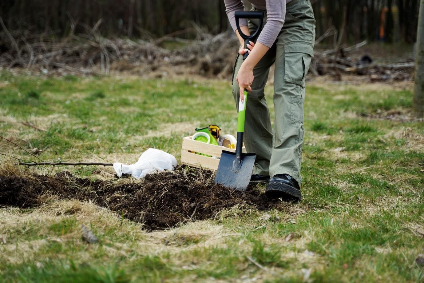 Why Hire Pros for Your Land Clearing Services?