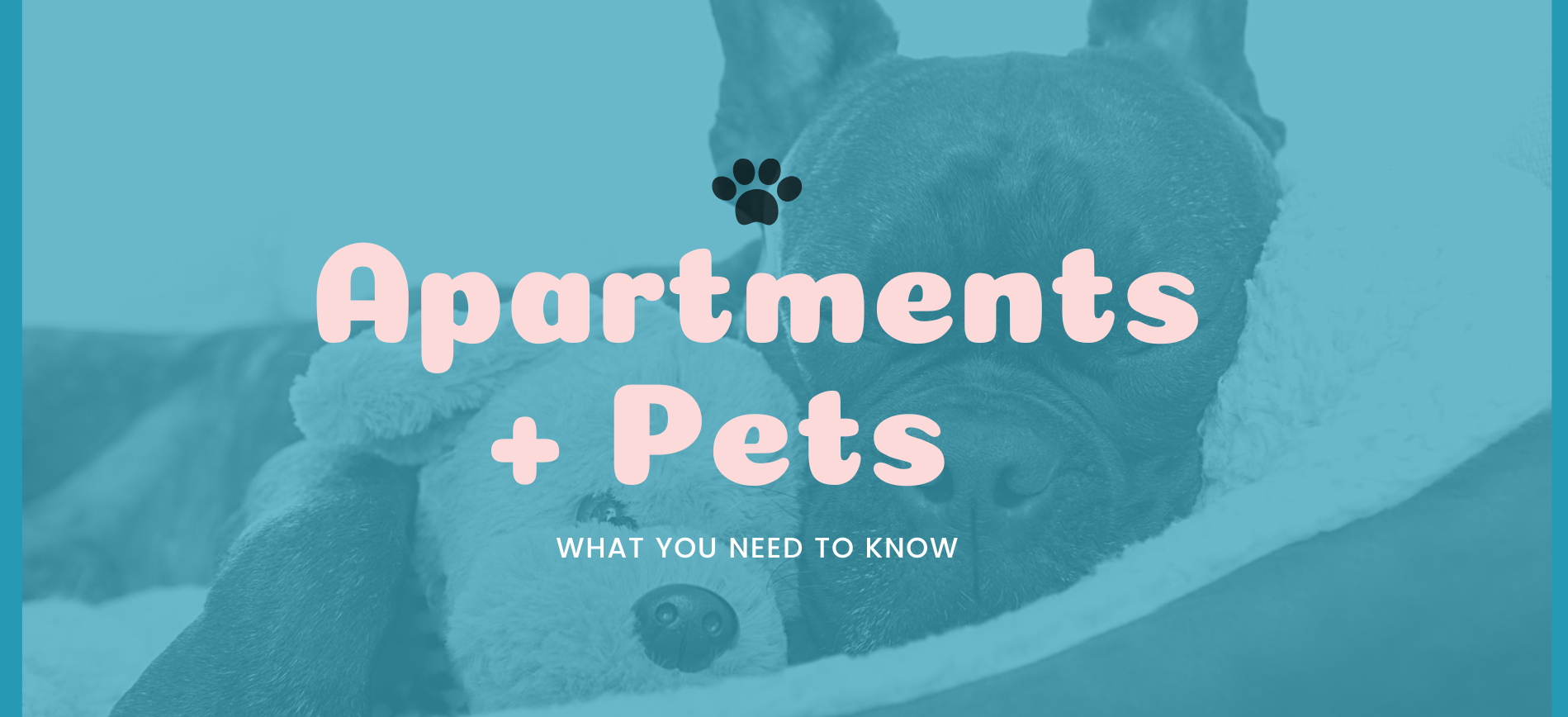 Apartments for rent in Greenville SC that allow pets