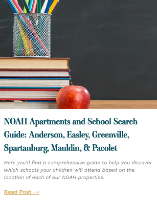 school search guide