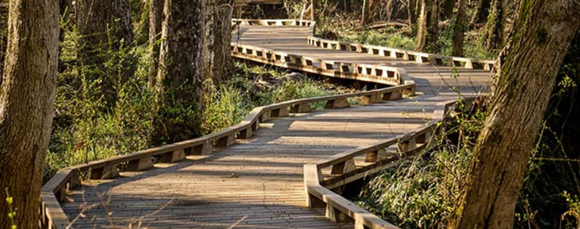 Lake Conestee Nature Park