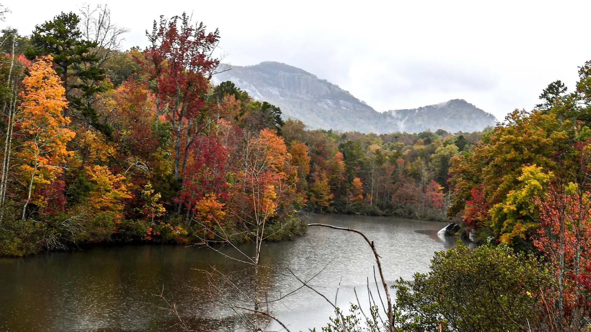 States Parks SC