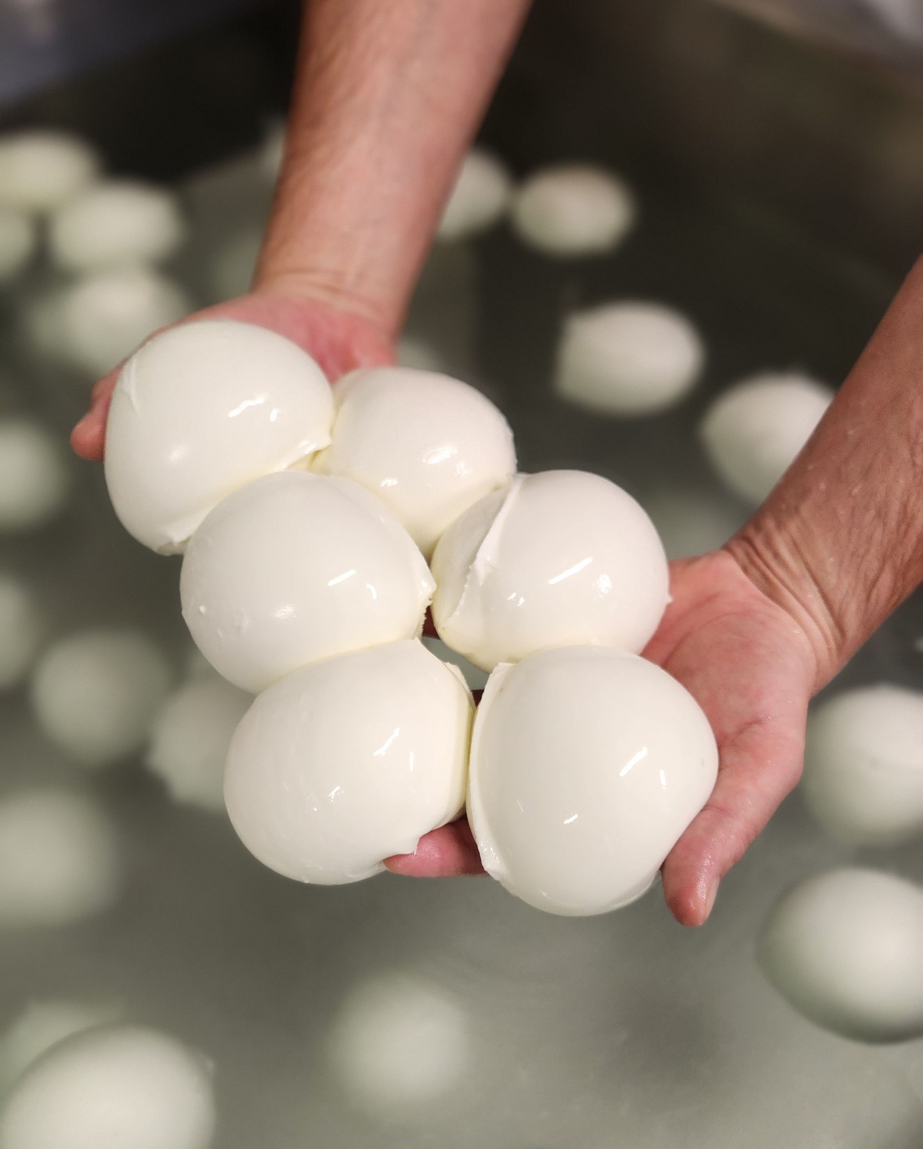 Macchine e impianti per la produzione di mozzarella e derivati