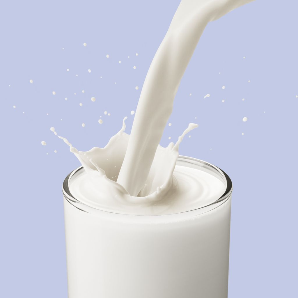Macchine e impianti per la produzione di latte alimentare 
