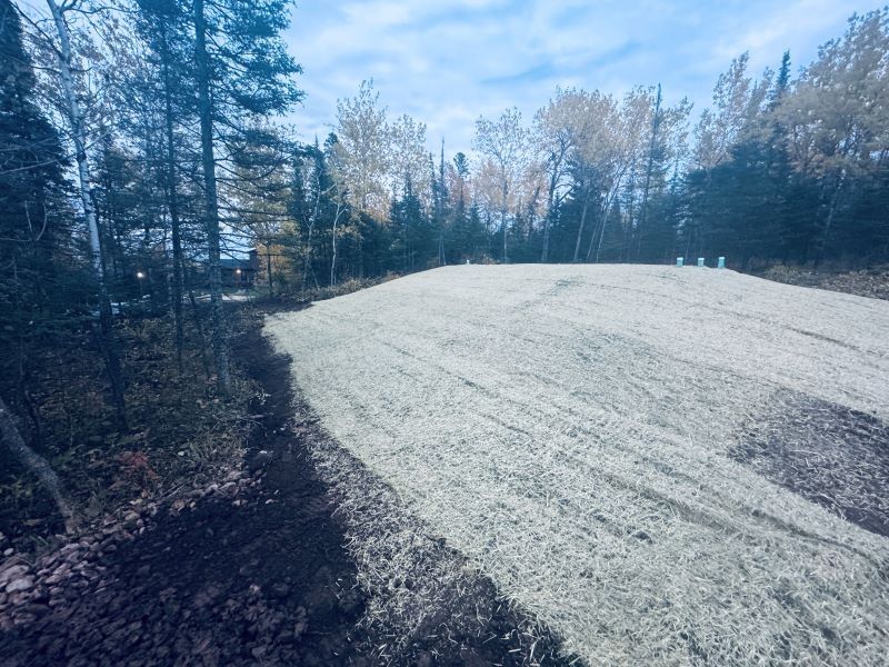 A large, freshly seeded area, covered in light straw, bordered by trees in an outdoor setting.