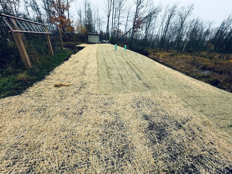 A grassy area with straw, potentially for erosion control, next to trees and a small structure.