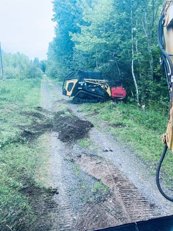 Yellow skid steer on a dirt road clearing brush along edge of woods.