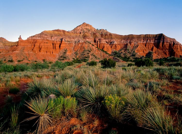 Red sandstone cliffs above desert shrubs under a clear sky.