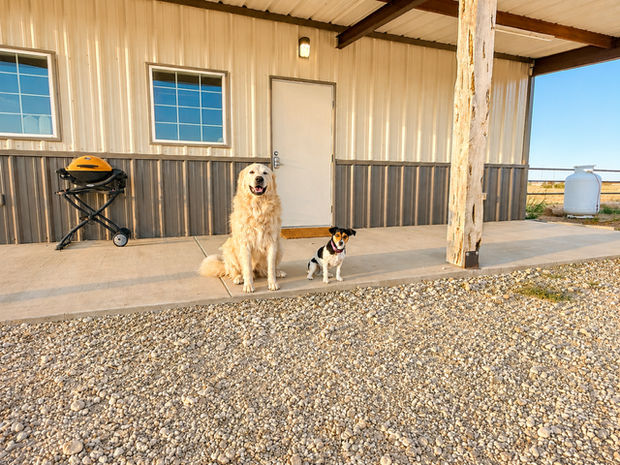 Dog standing on rocky desert ground near an RV, with mountains in the background.
