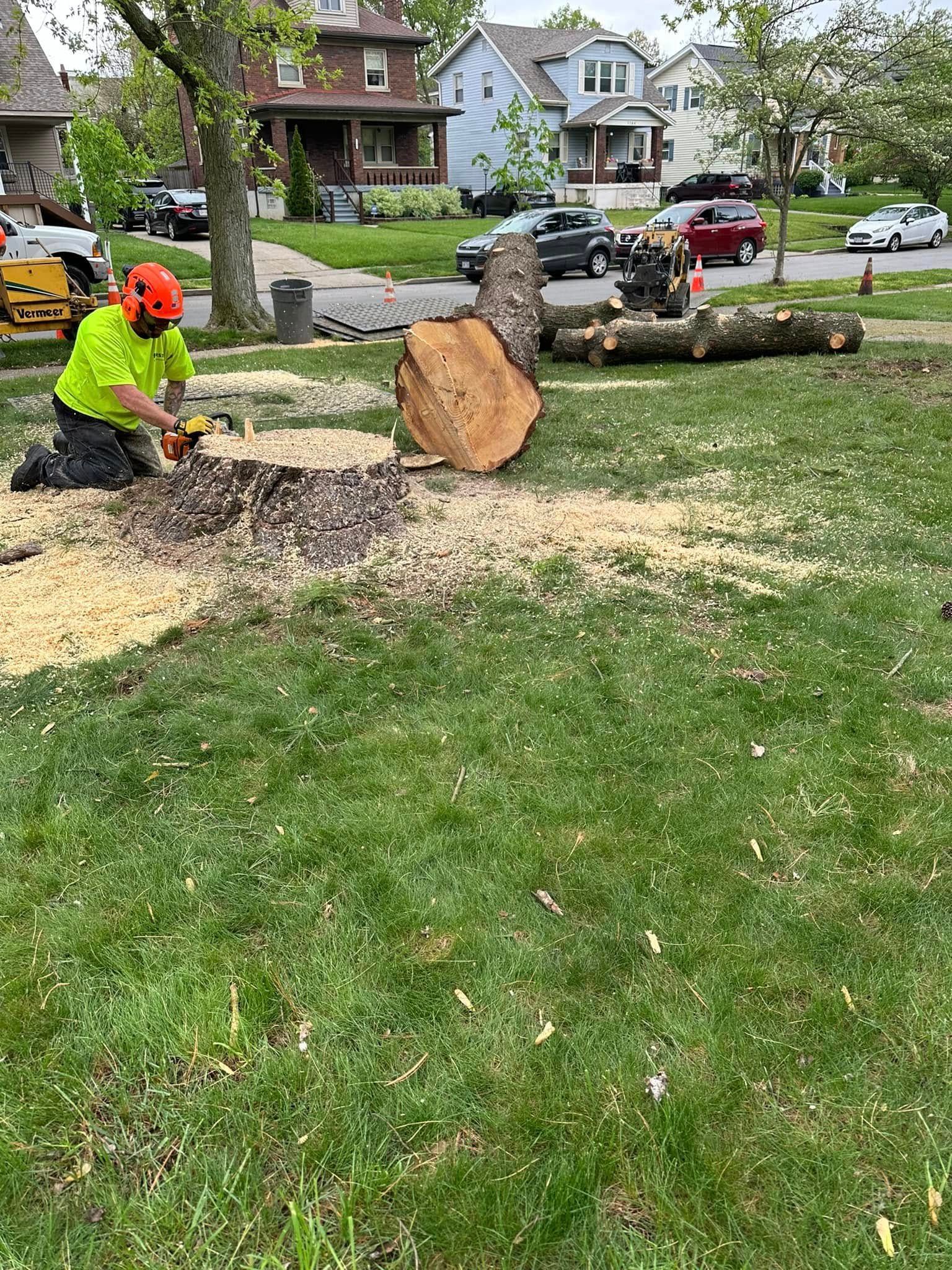 Worker in neon shirt chainsaws a fallen tree trunk in a suburban yard, with homes and parked cars behind.