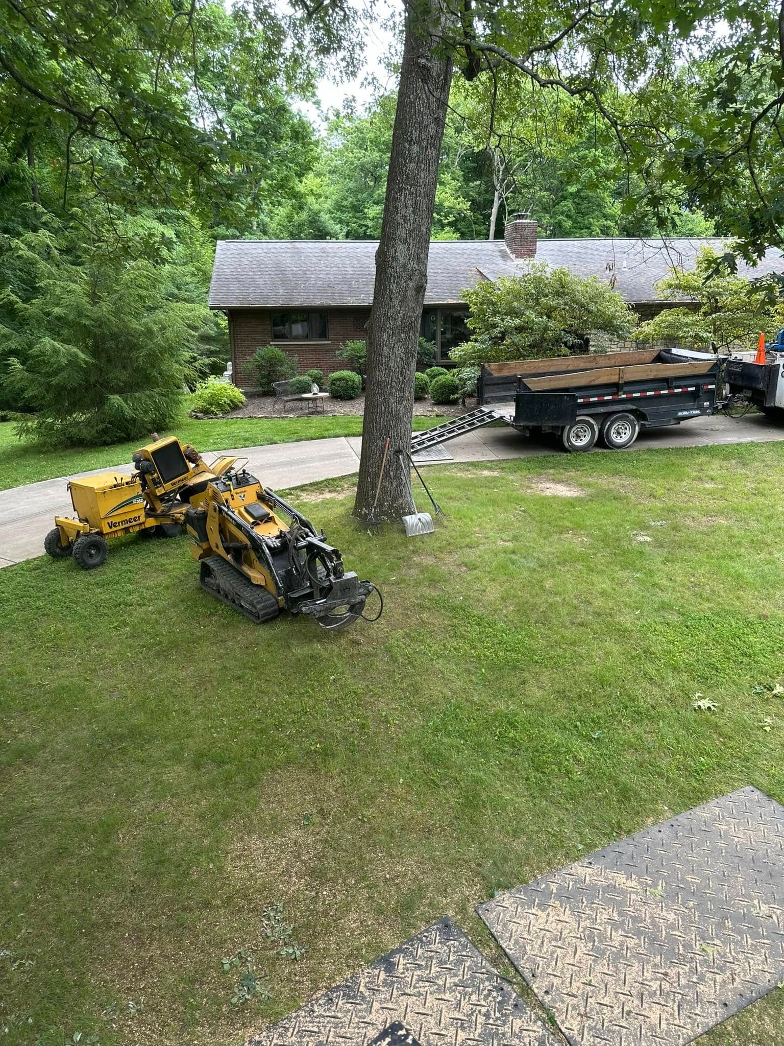 Yellow mini excavator on a grassy lawn beside a tree and parked trailer near a house