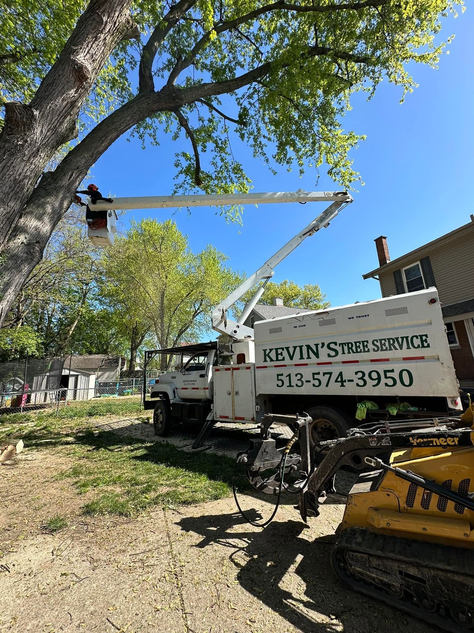 Tree service truck and bucket lift parked beside a large tree and house on a sunny day