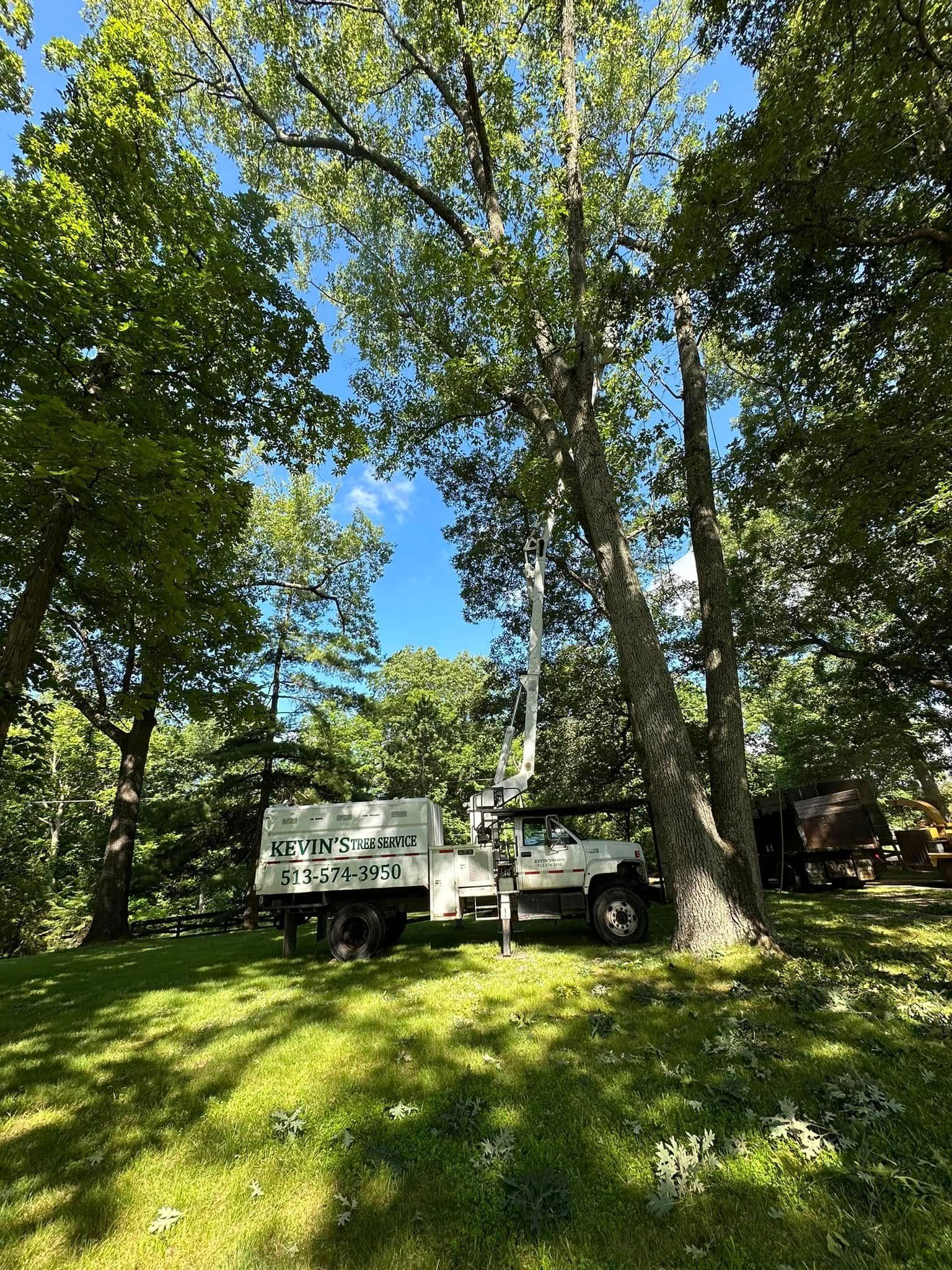 White truck and trailer parked in a sunny grassy clearing surrounded by tall green trees.